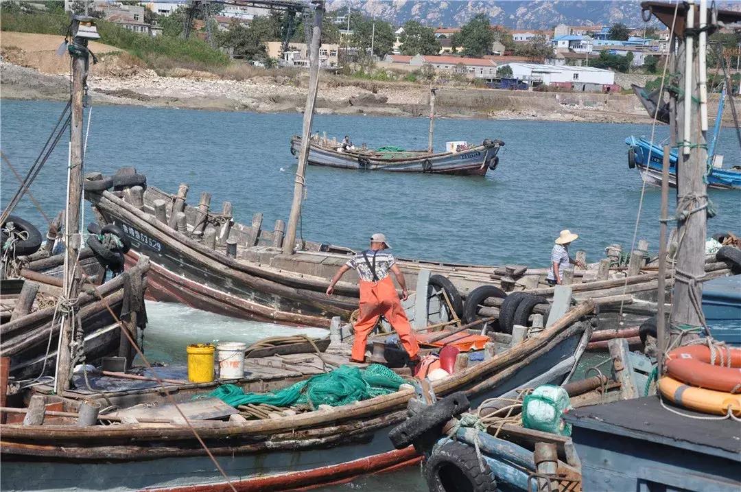 青岛开海了新鲜肥美的海鲜已上市,青岛开海红岛海鲜八大关