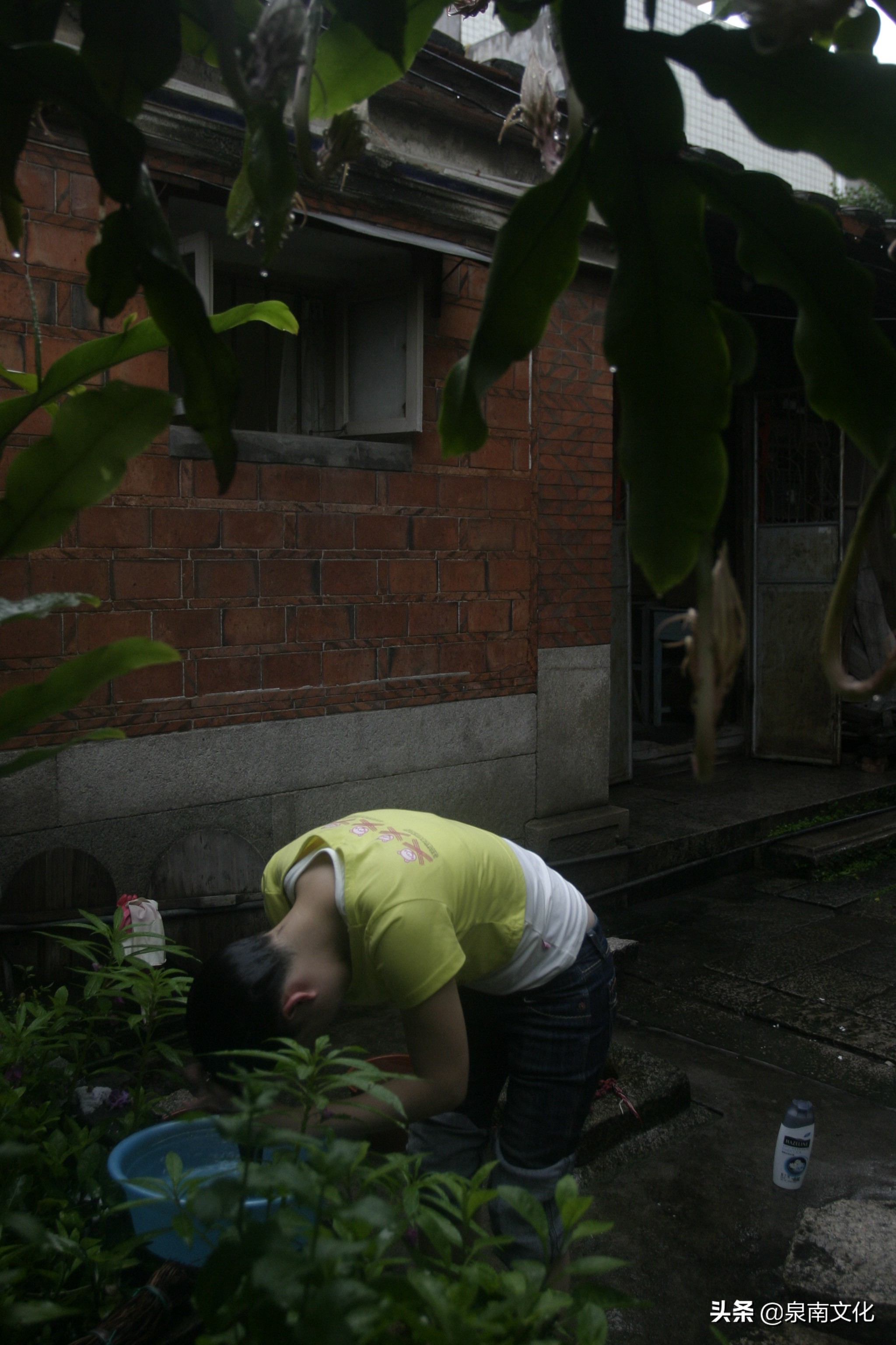 泉州中山路两侧巷道踏勘日记(三):奎霞巷、会通巷、通政巷等