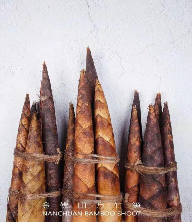 重庆南川特色美食节,南川美食文化节