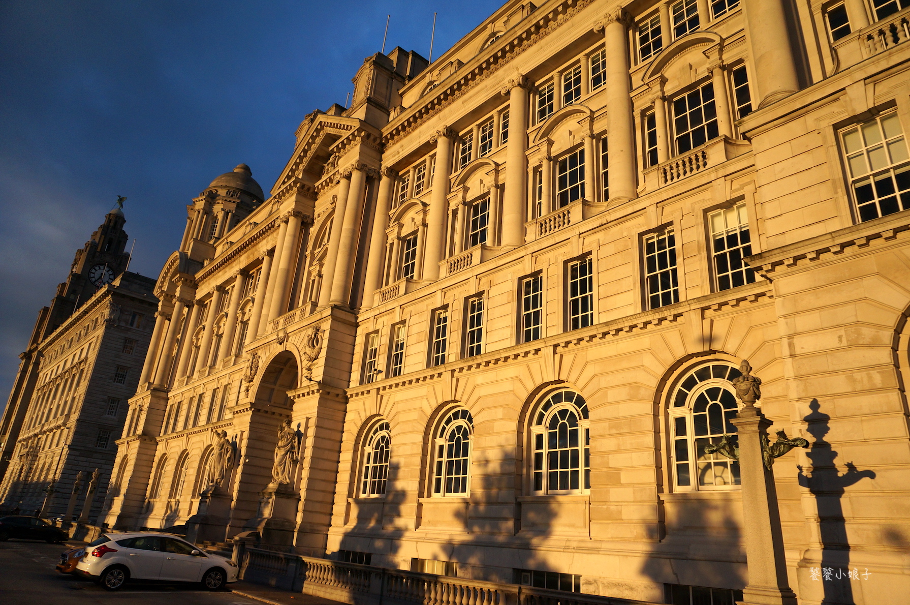 利物浦队徽上是什么鸟,利物浦队徽上的是什么鸟