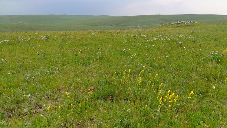 四子王旗——故乡的云，真的好美