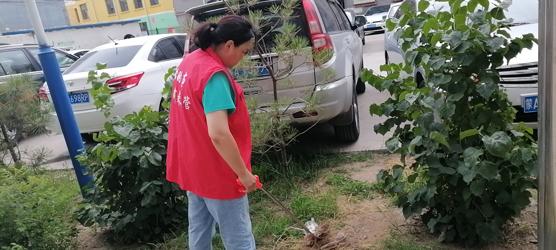 【光明路街道】“我帮你”进行时｜阳光社区：我爱青城，我为文明青城代言