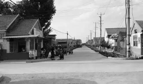 还记得当年缴公粮的场景吗,谁还记得当年交公粮的场景