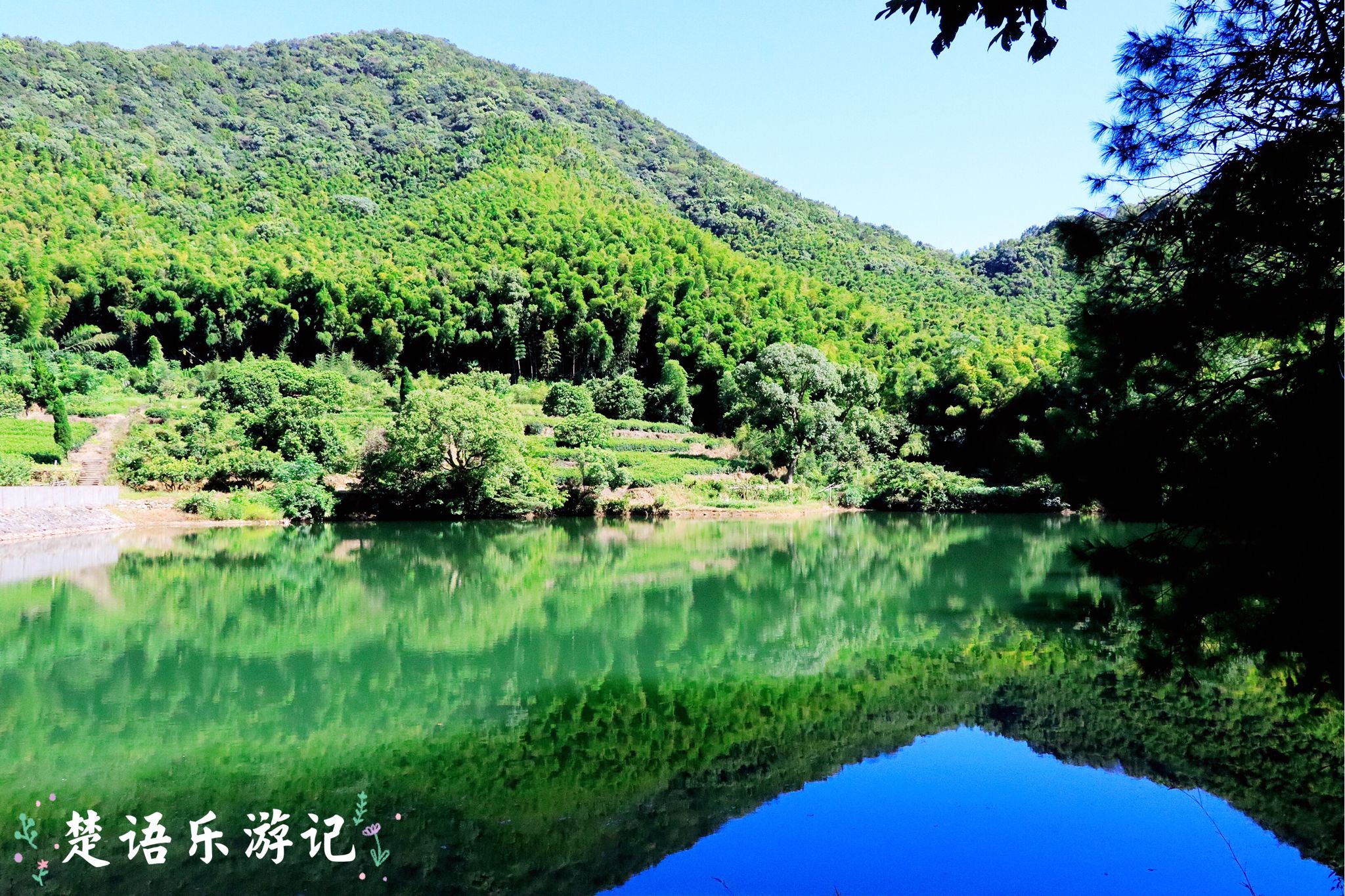 宁波高桥绝美古村,宁波最有名的五大古村凤岙古村