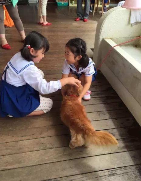 让人震撼的日本教育,日本3-4岁儿童思维训练