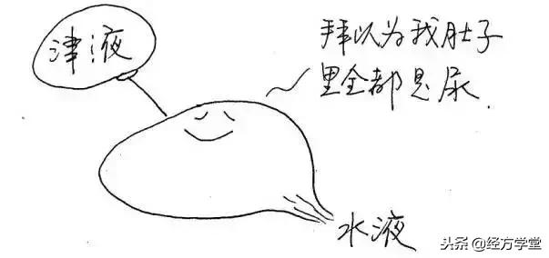 中医12经络挂图,漫画中医经络图典