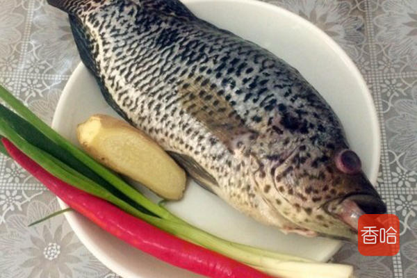 简单又好吃的炖鱼做法,最简单家庭炖鱼做法微辣