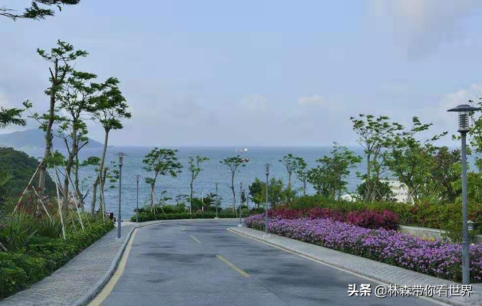 林森带你看世界——中国最美的海岛之：珠海东澳岛