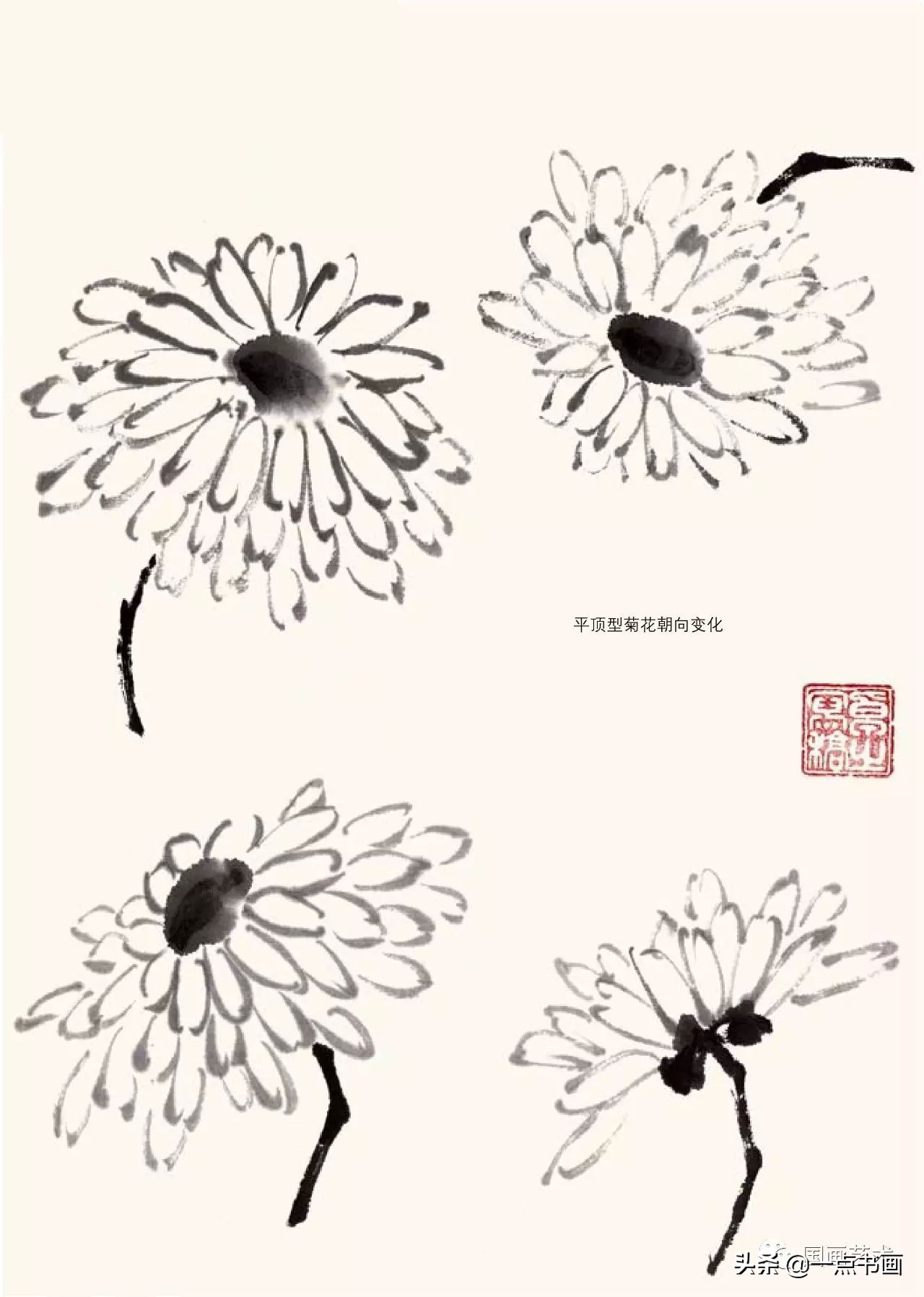 菊花画法教程简笔画,菊花拟人画法