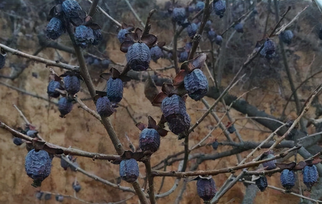 <html>
<head><title>502BadGateway</title></head>
<body>
<center><h1>502BadGateway</h1></center>
<hr><center>nginx</center>
</body>
</html>
<!--apaddingtodisableMSIEandChromefriendlyerrorpage-->
<!--apaddingtodisableMSIEandChromefriendlyerrorpage-->
<!--apaddingtodisableMSIEandChromefriendlyerrorpage-->
<!--apaddingtodisableMSIEandChromefriendlyerrorpage-->
<!--apaddingtodisableMSIEandChromefriendlyerrorpage-->
<!--apaddingtodisableMSIEandChromefriendlyerrorpage-->
