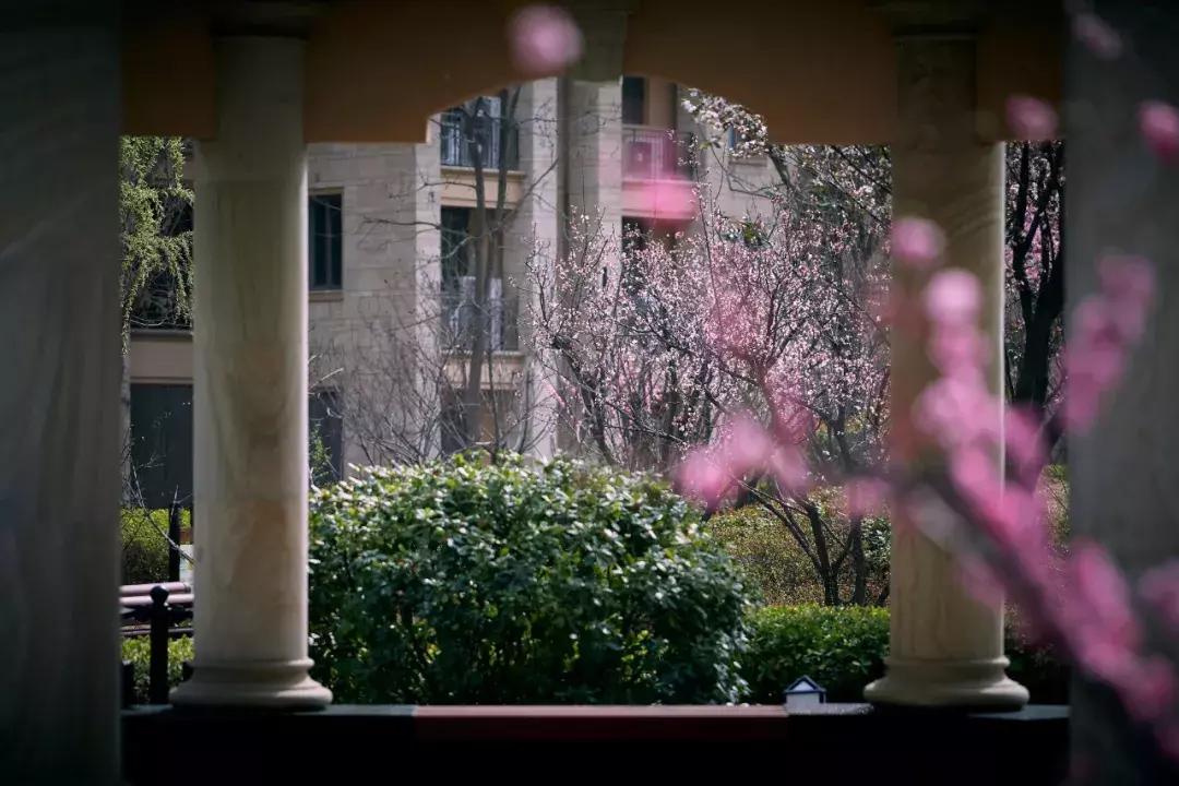 星河湾品质运营,星河湾风格美学