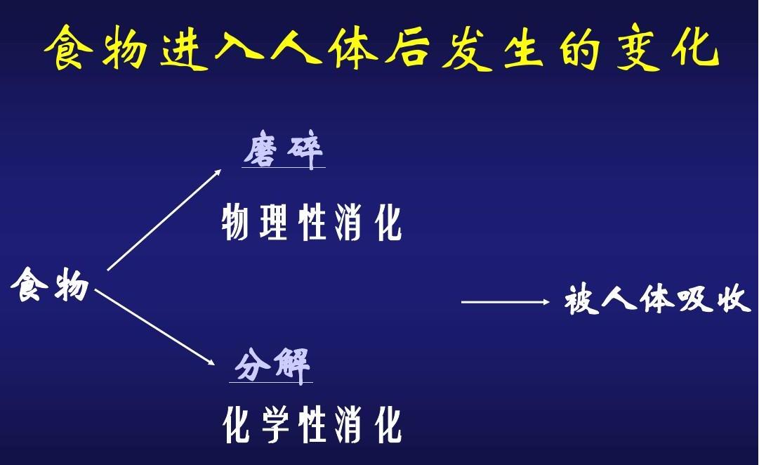 瘦子怎么吃才能长胖?瘦人增肥饮食3要素,全做到了你就能长胖