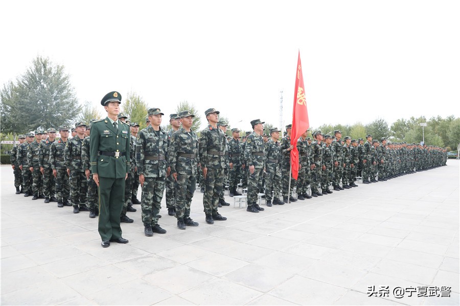 鍙峰鍙峰闃靛瀹樺,鍙峰鍙峰娲诲姩鏉ヨ