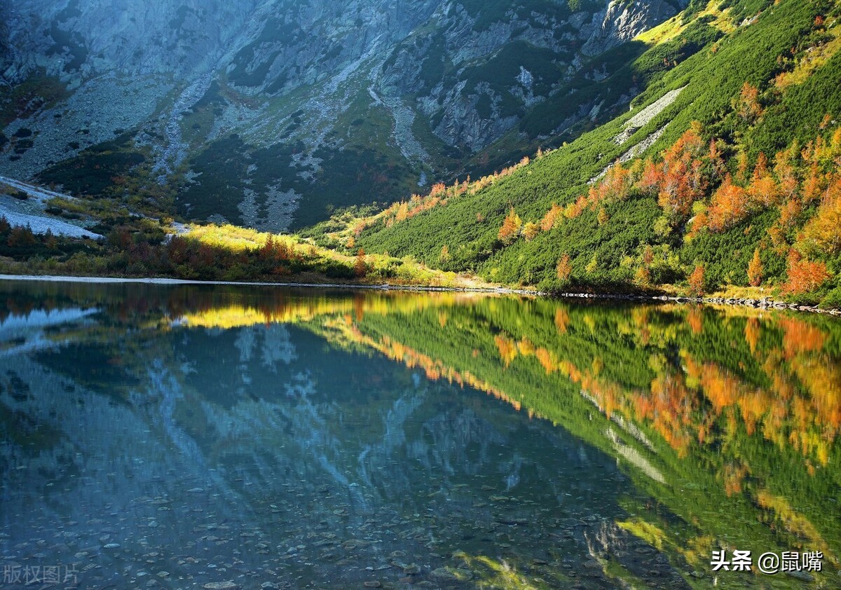 列子原文译文,列子中的寓言故事原文译文