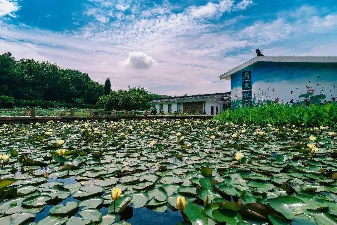 楚风汉韵景点有哪些,徐州楚风汉韵旅游攻略