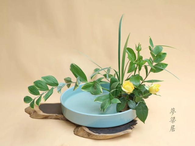 周末去哪儿小说,周末去哪儿玩免费景点