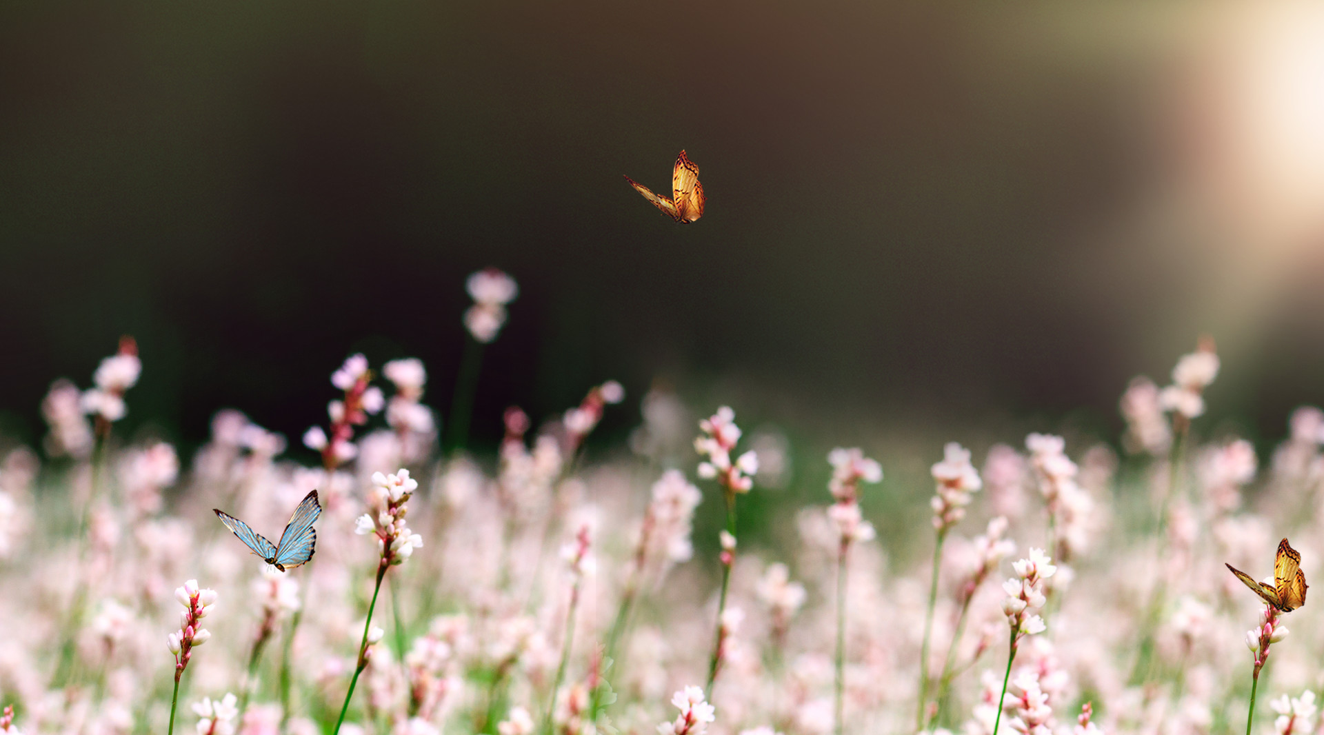 奥数平均数应用题的解题思路,2023小学奥数思维训练解题思路