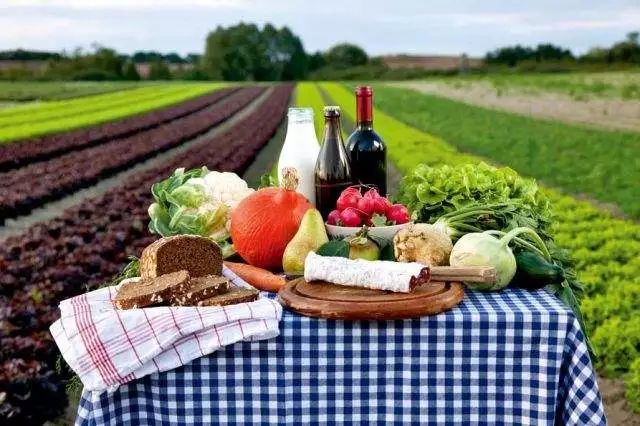 中国有机农业经营,以后中国会普及有机农业吗