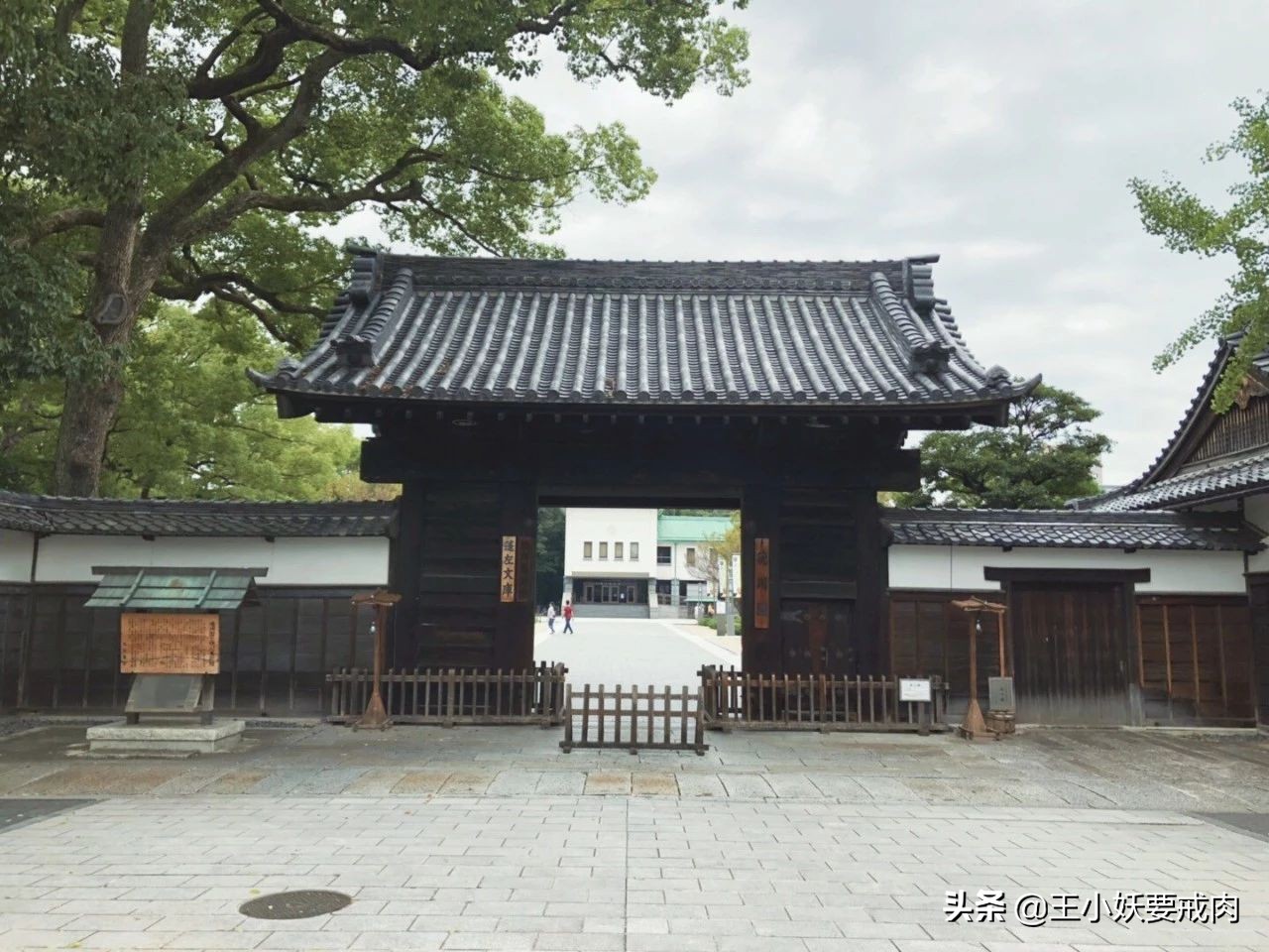 日本自由行攻略7天旅游,日本自由行攻略十大必去景点