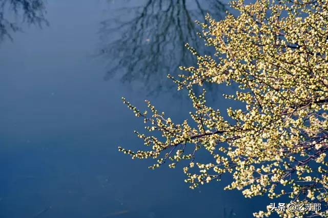 有了这个理由,你一定会爱上苏州西山