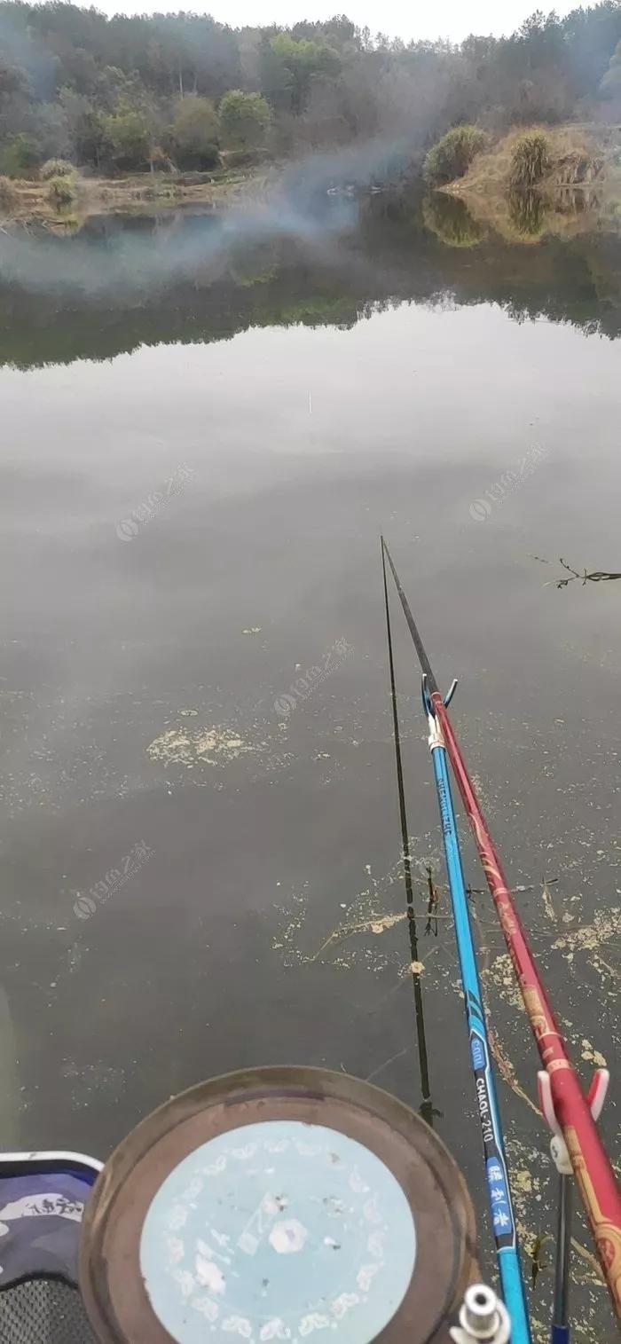 垂钓黄鱼怎么钓,垂钓鲶鱼小技巧