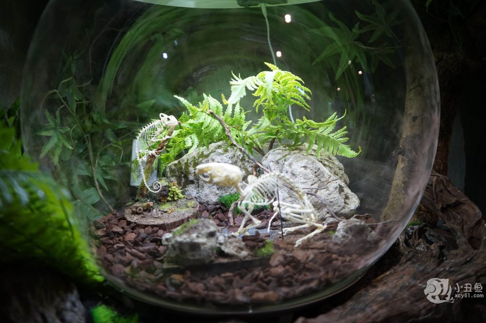 儿童玩的遛娃好去处,有动物的溜娃好去处