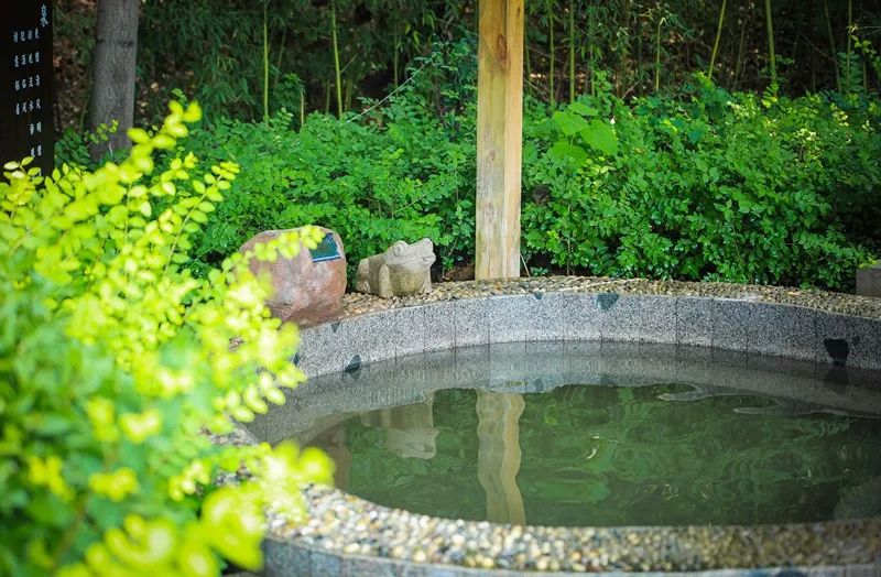 郑州周边这9个特色温泉，够“约泡”一整个冬天，你想去哪个？