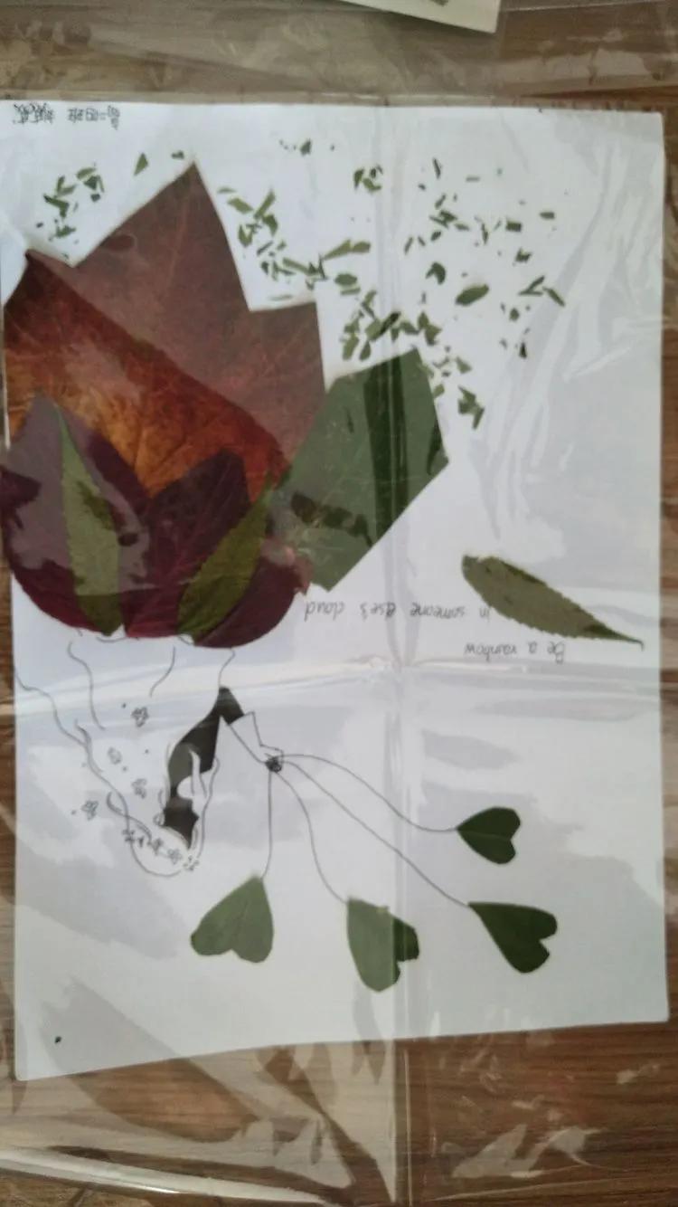 育才中学美丽校园,阜新市育才中学照片