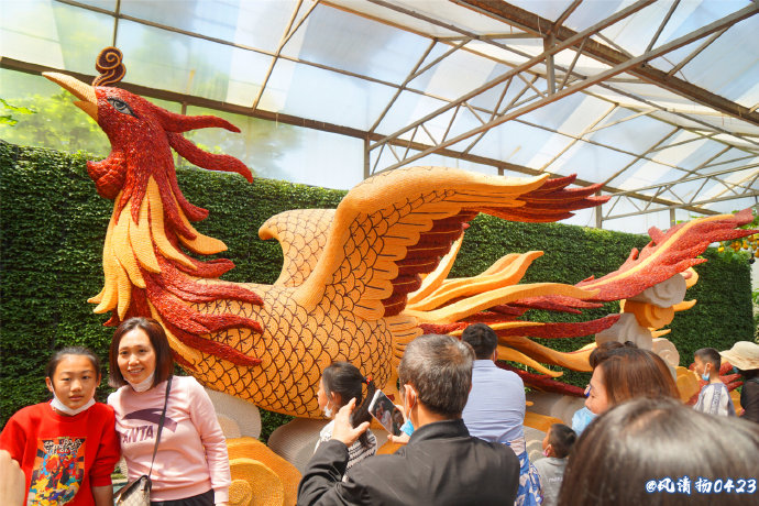 菜博会第一届,2022年菜博会天下情怀景观