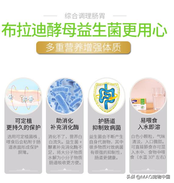 幼猫拉稀吃蒙脱石散怎么吃,幼猫拉稀怎么吃乳酸菌素片