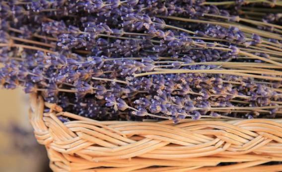 返乡创业致富有哪些挣钱点子,农业农村部返乡创业