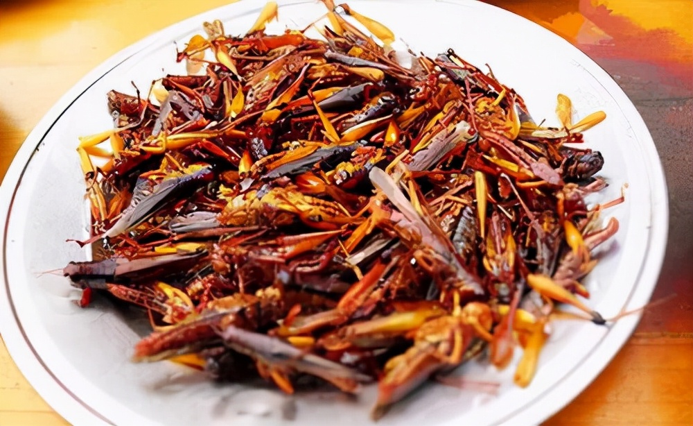 晚上在被子里发现蜈蚣,耳朵里取出蜈蚣