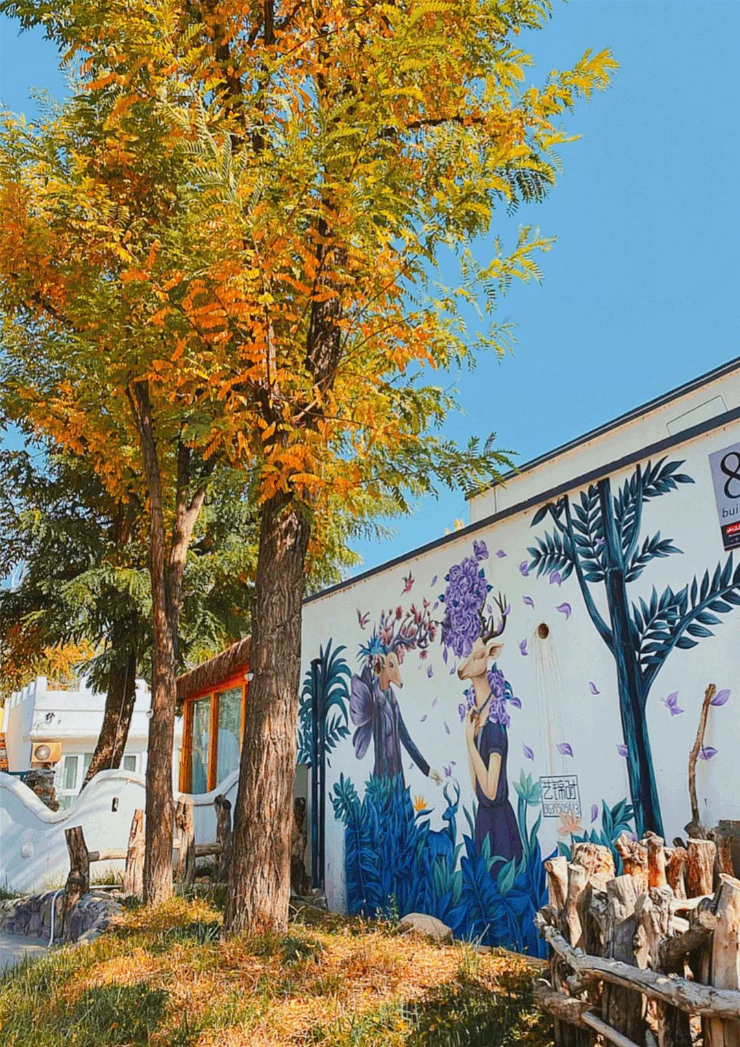 秋天银川旅游线路推荐,银川的秋天