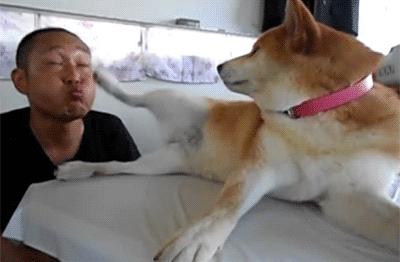 口里叫着宝贝心里一点波澜都没有,嘴里天天叫着小宝贝