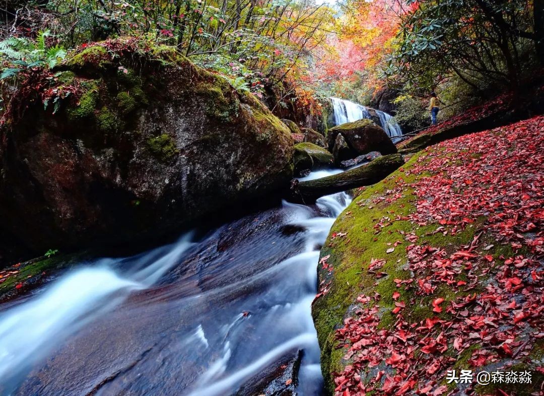 秦岭赏秋怎么玩才好玩呢,大秦岭山旅游攻略