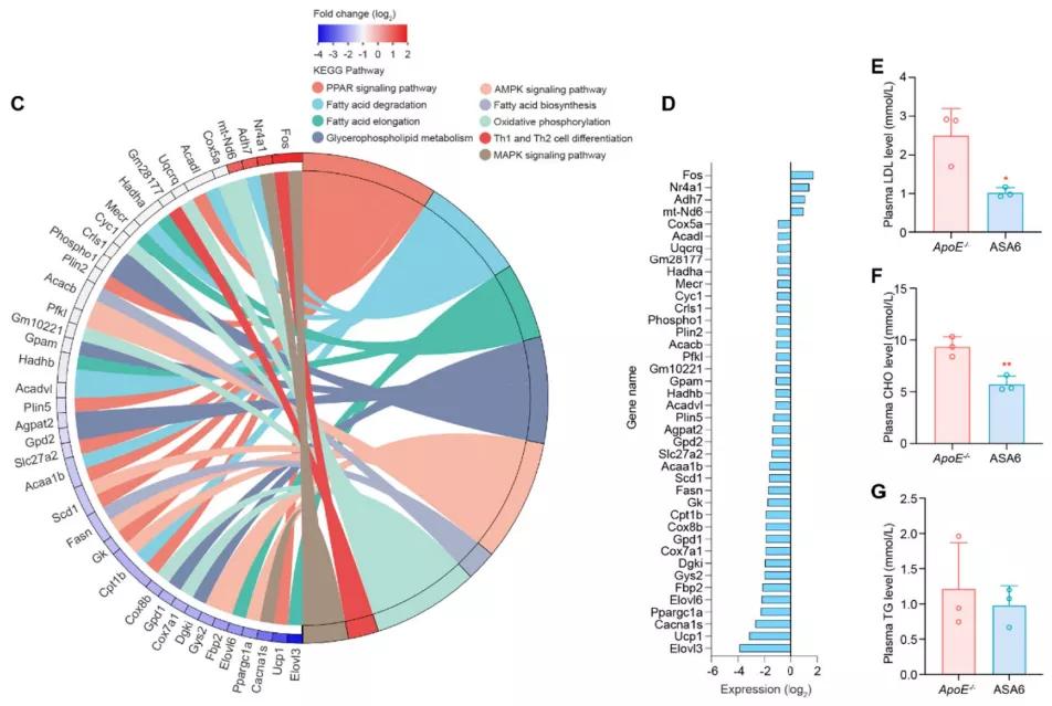 动脉粥样硬化靶向特效药,动脉粥样硬化最新药物研究