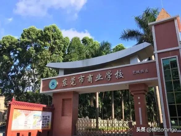 读东莞市商业学校要什么条件,东莞读书的真实感受