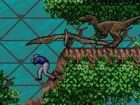 md战棋游戏,md双人游戏