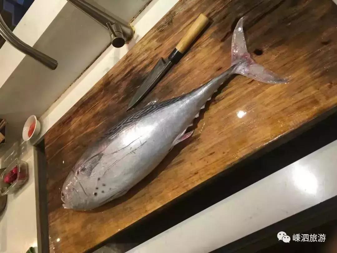 海捕常见海鱼,东海海鱼图片和名称大全