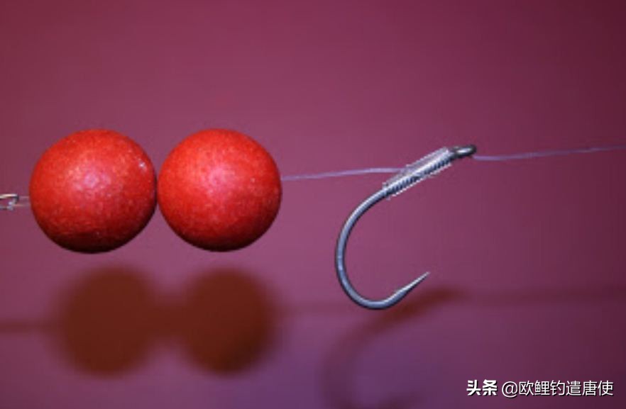 话说欧鲤钓组全集,欧鲤钓组可以钓哪些鱼