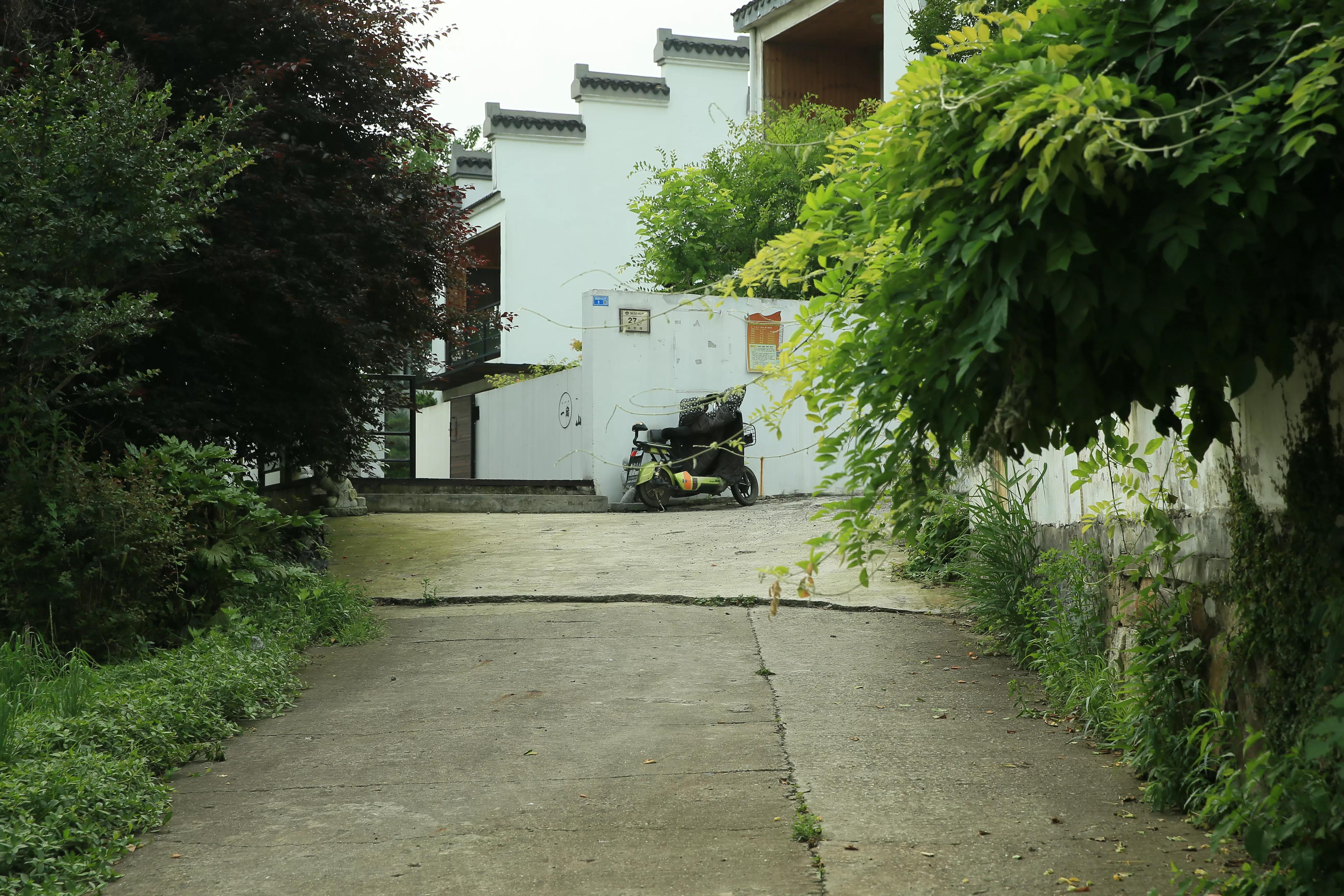 世凹桃园,世凹桃源图片