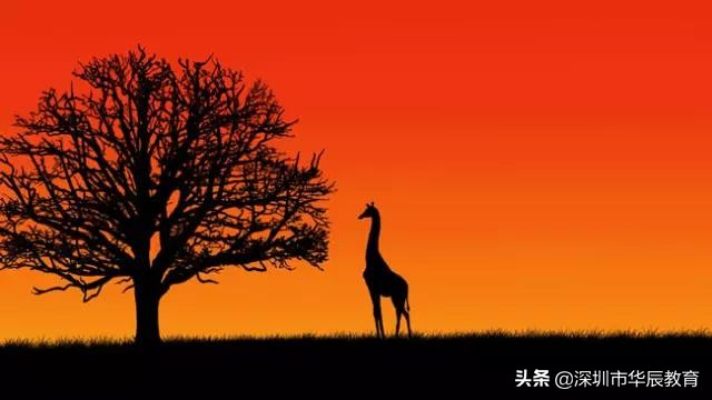 考研经验帖投稿视频,考研华中科技大学经验帖