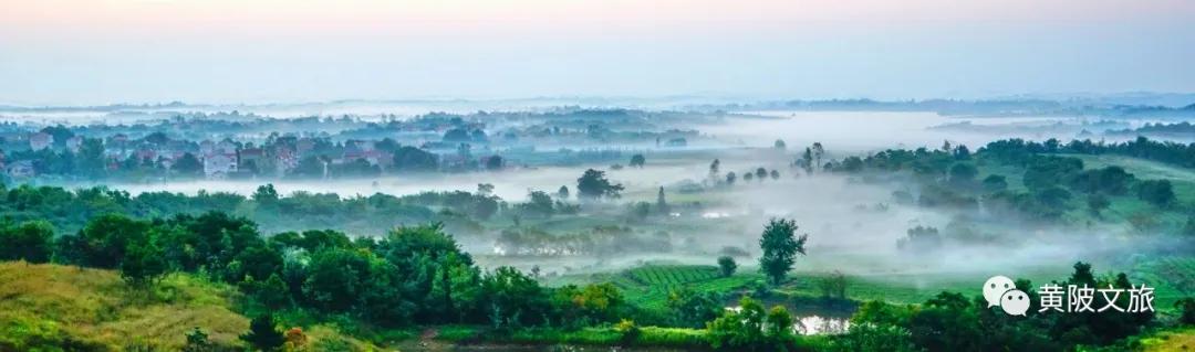 疫情过后一起来踏青吧,疫情过后一起去山花浪漫处