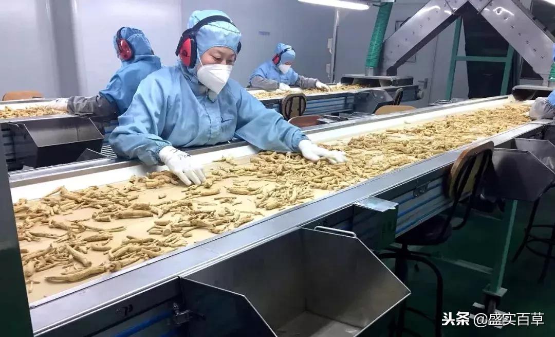 盛实百草药业好不好,盛实百草人参怎么样