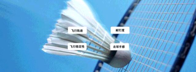 羽毛球测评50元左右推荐,羽毛球超硬核横评测