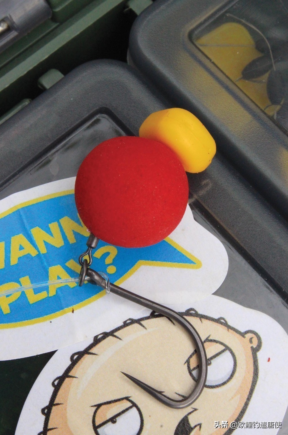 欧鲤钓钓组篇,欧鲤钓组和飞德钓组