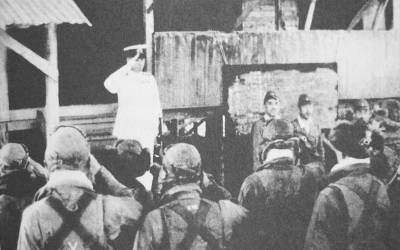 巨兽之亡（10）——缺了姐姐帮挡枪，老兵“瑞鹤”混不下去了