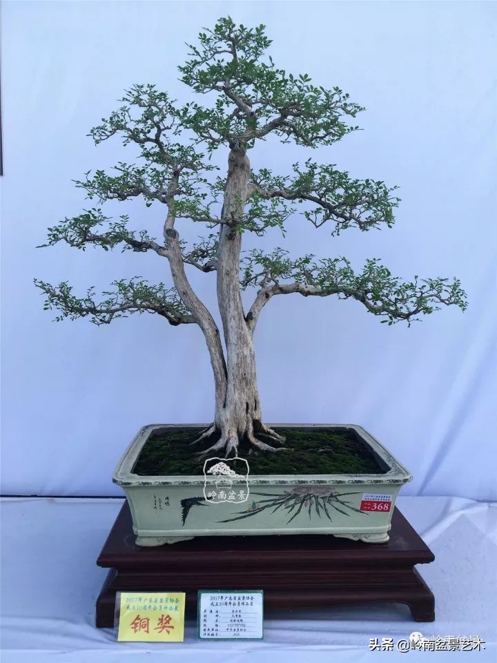 骞哥涔呬箙鐢滅敎铚滆湝,骞哥涔呬箙