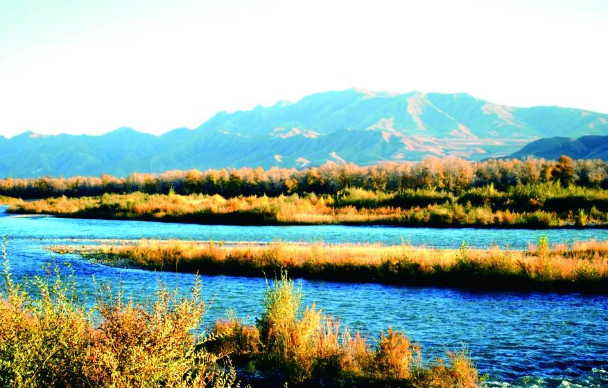 公安辅警免费景区,全国对辅警免费的景区有哪些