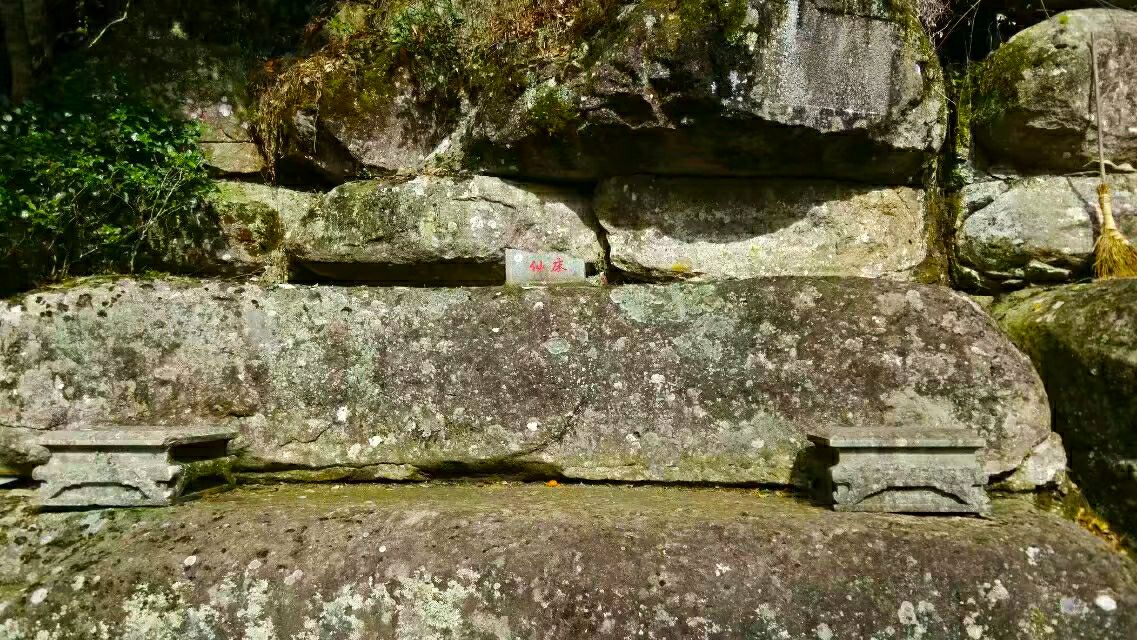 鬼斧神工崖柏,鬼斧神工刺青工作室